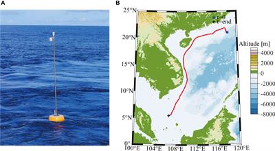 The role of sea spray in air-sea fluxes during Typhoon Molave: a study based on drifting buoy observations